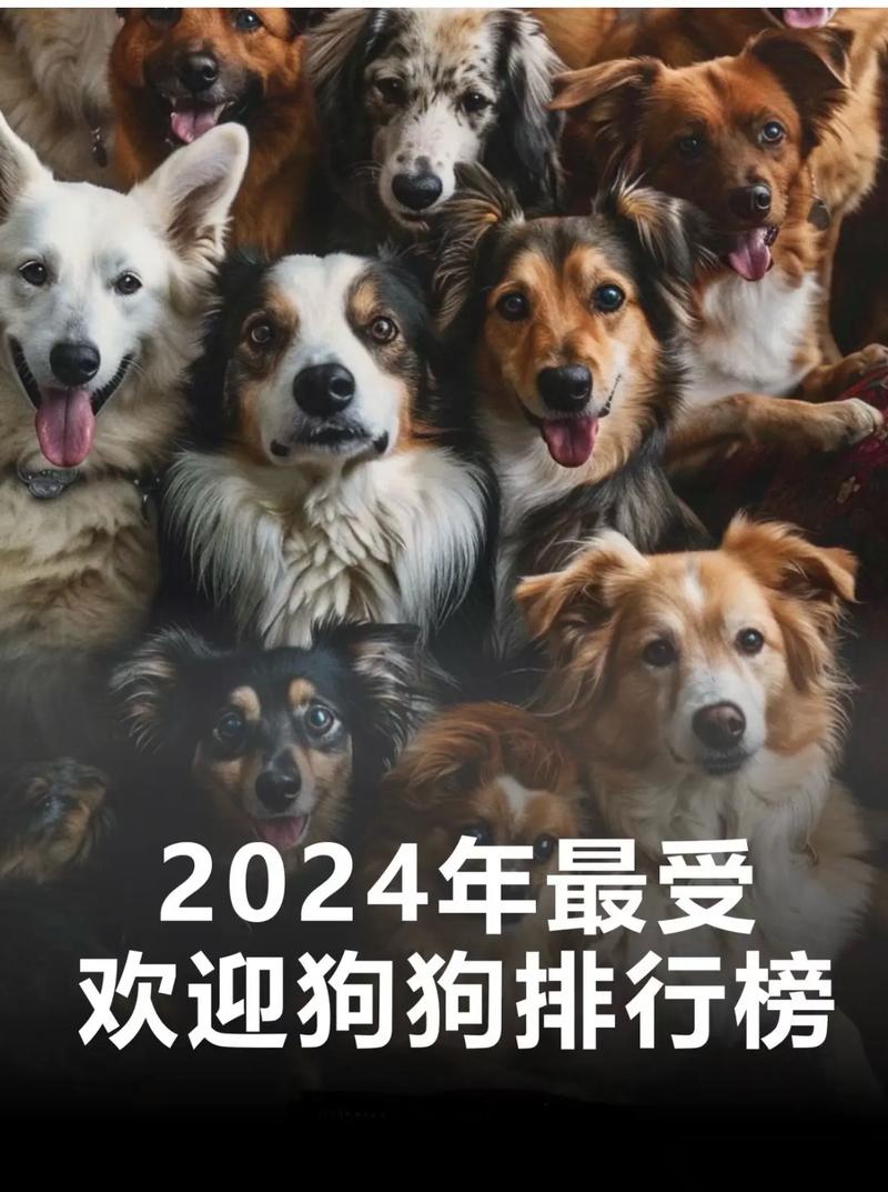 2024年最受欢迎的酷软壁纸推荐！高清4K资源等你来领！