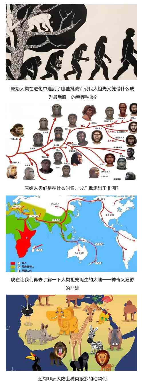 瓦哈拉斯的起源历史在哪里？揭秘它背后的神秘传说！