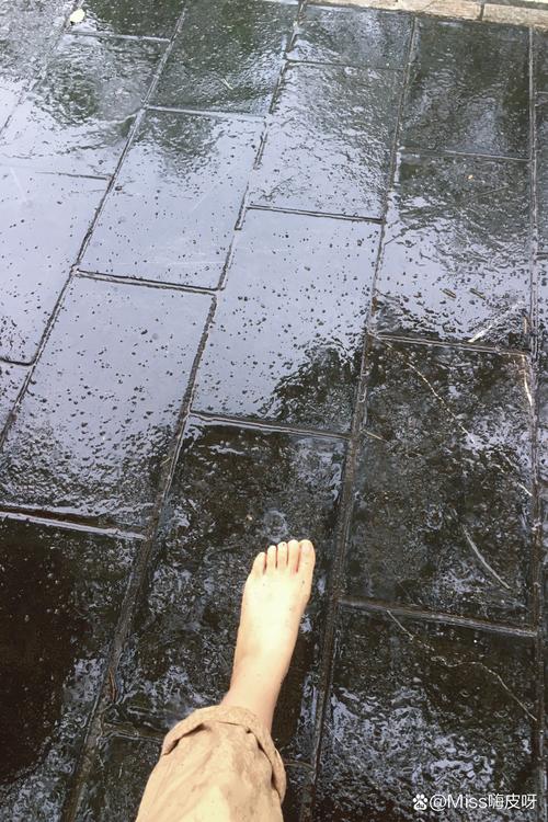 探寻“被弄湿的夏天”下载源的深度分析