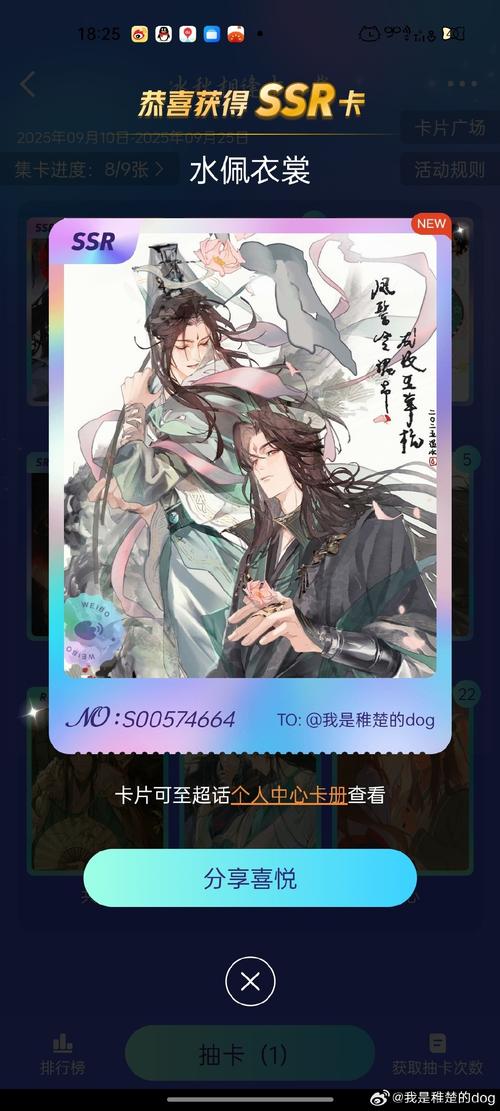 张津俞汉化版下载：深度解析与实用建议