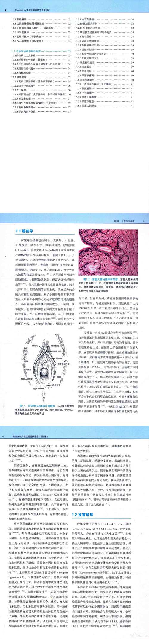 生殖活动学院最新版本分析及其影响