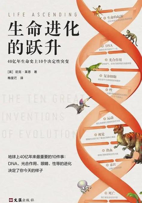 探索《生命的回报》的下载渠道与安全性分析