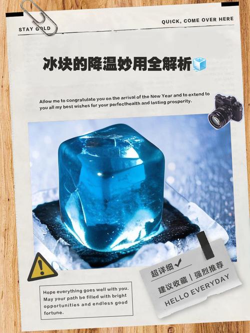 深入解析“下来啊！冰鸟杨过”游戏的魅力与潜力