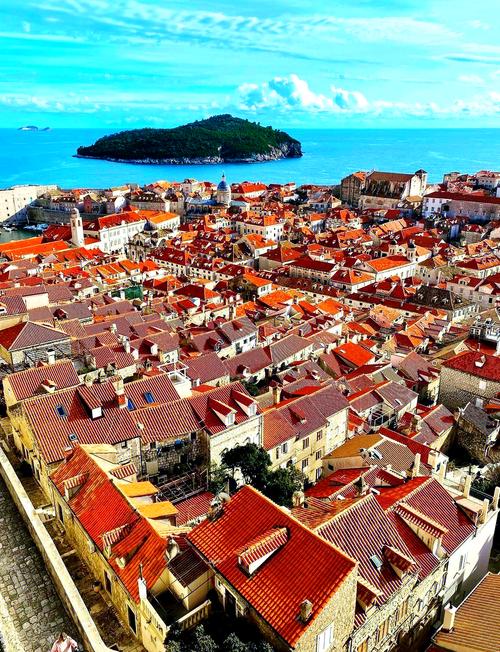 深入分析“瓦尼亚的城堡安卓汉化”:一场文化与技术的碰撞