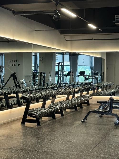 禁欲健身中心更新地址：解析背后的趋势与影响