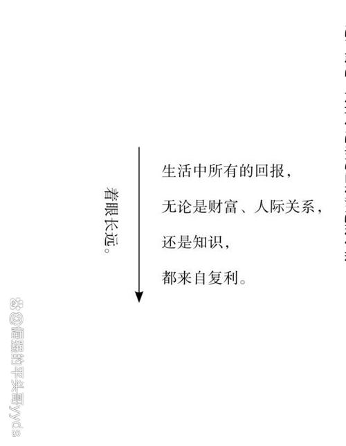 生活的回报最新版本分析：深度探讨其创意与市场表现