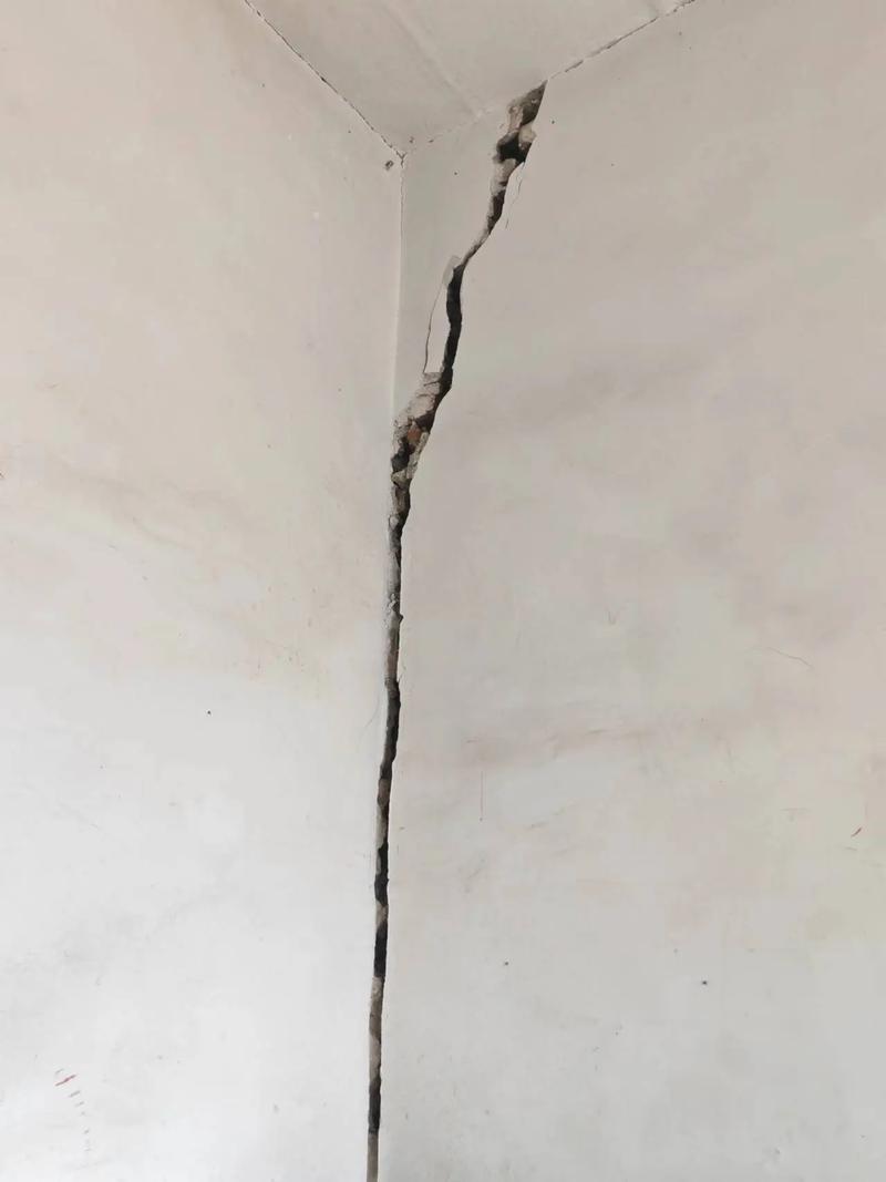 裂缝中的房子官方网站分析：探索其背后的设计理念与玩家体验