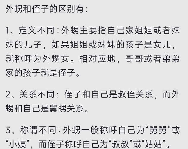 深入分析嫂子与小侄子官方网站的用户体验与市场潜力