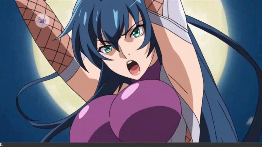 深度解析：对魔忍阿莎姬更新日志的专业分析与展望