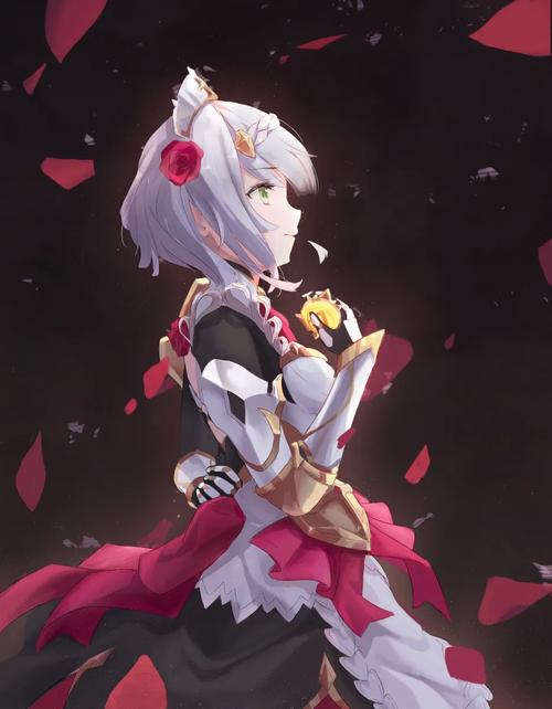 诺艾尔会努力的杨过游戏：探索游戏机制与角色发展