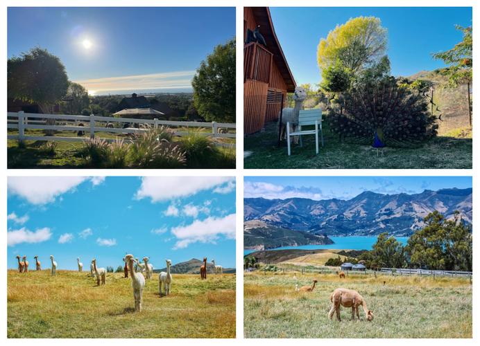 深入探索圣塔县的生活绅士游戏：文化、影响与未来发展