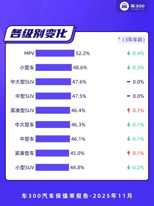 满车率300最新：深度分析与实用建议