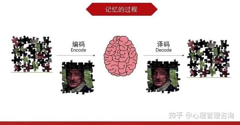 重拾记忆：深入分析“我的失忆症女友杨过游戏”的机制与情感深度