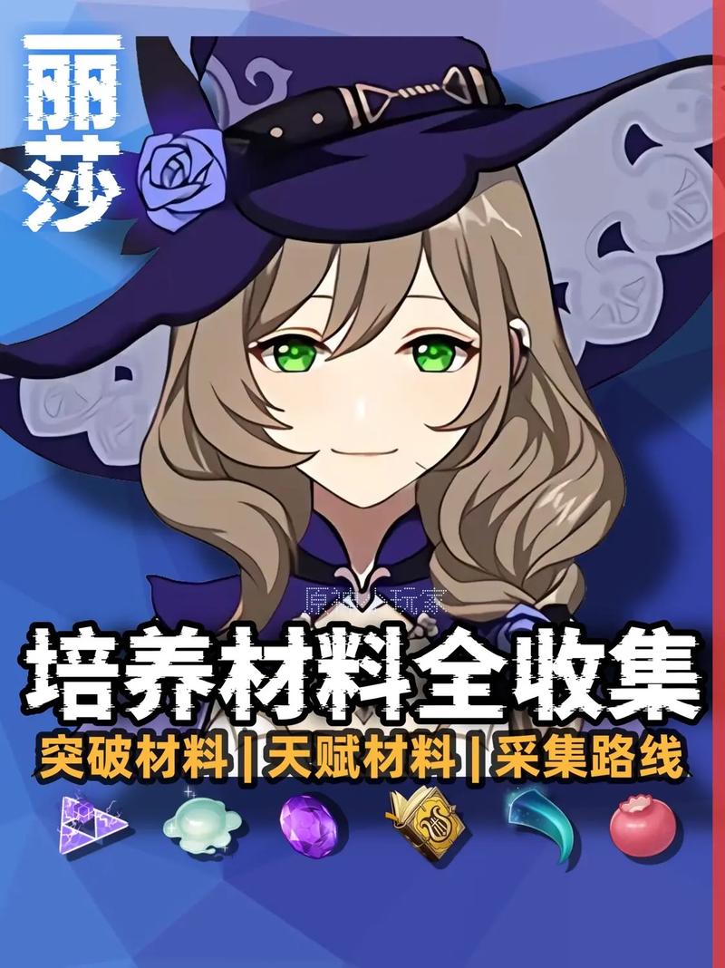 丽莎全面调查版本大全:实用操作教程