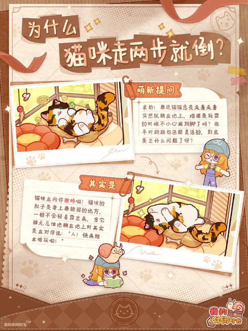 猫研社游戏介绍：深度剖析与未来展望