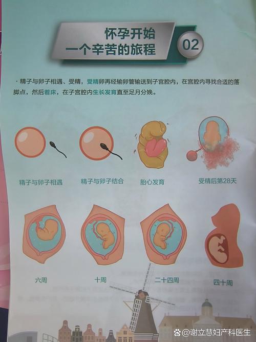 深度解析《孕育的摇篮之卵》汉化版最新更新内容