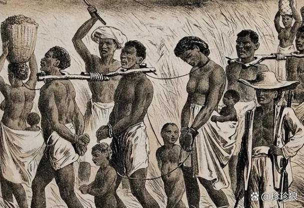 深入分析《奴隶们》更新日志：新版本带来的变革与挑战