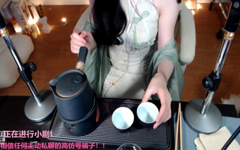 深入解析《婉儿别闹》汉化版的下载与体验