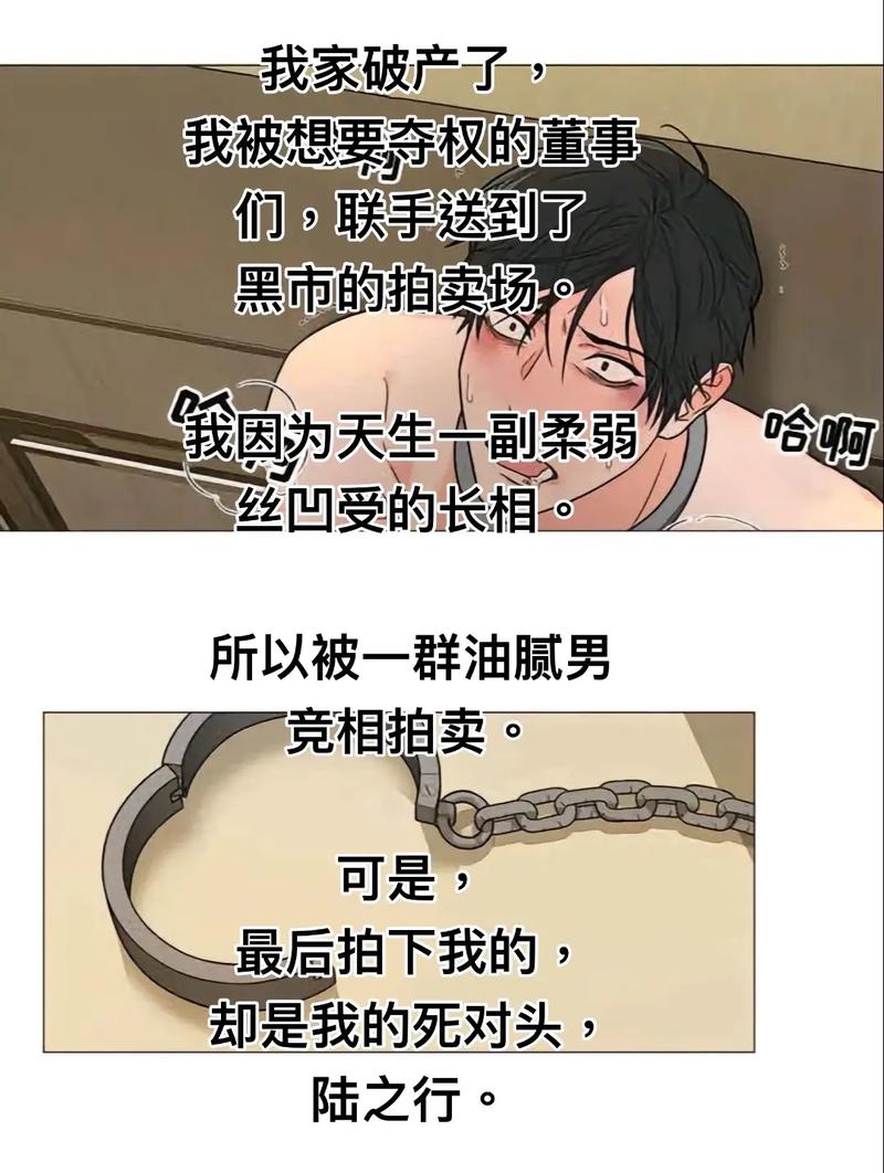 深入分析不和谐官网：其在绅士游戏领域的影响与挑战