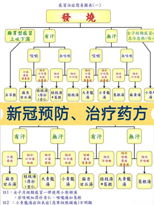 深入解析医德游戏攻略：提升玩家体验的关键要素
