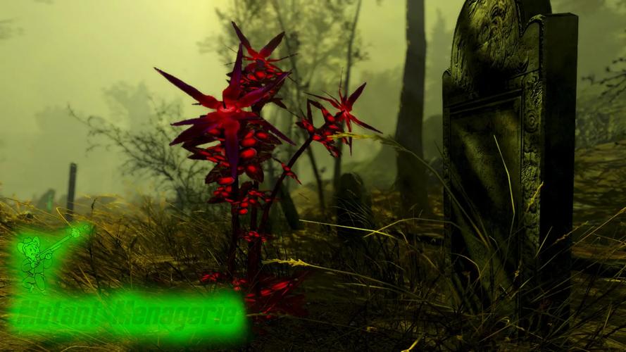 变异区汉化版最新更新内容深度解析