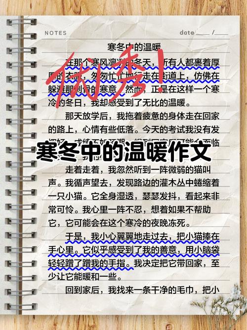 深度解析《暖雪》：从游戏机制到战斗策略的全面攻略