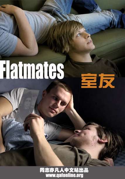 揭秘《室友》官方正式版：深度分析与最新版下载指南