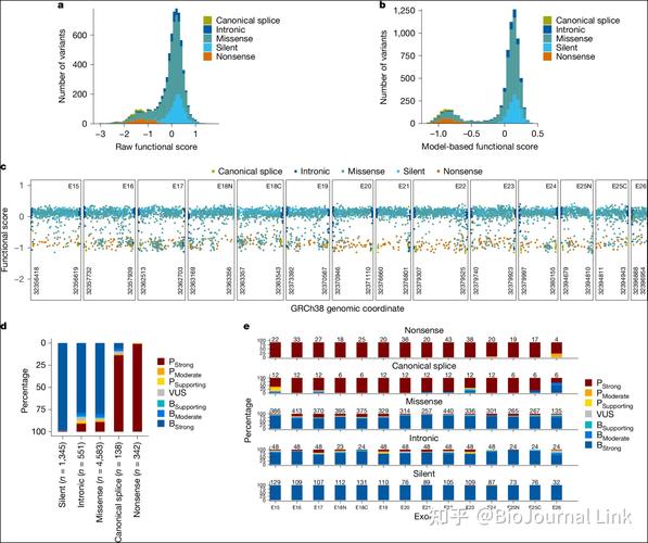 变异区最新版本深度分析:游戏机制与玩家体验的演变