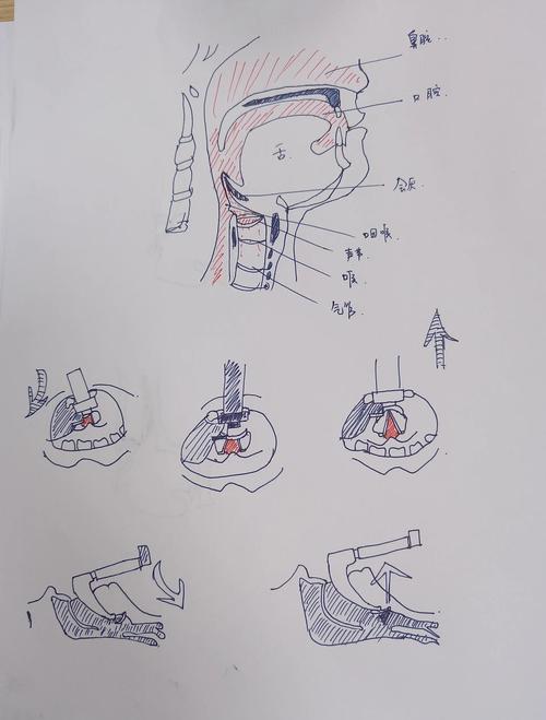 接管最新：一步步教你掌握绅士游戏的世界