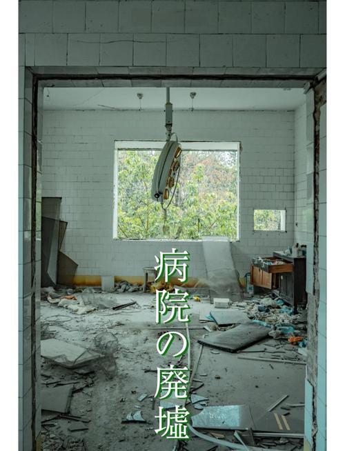 废弃医院的恐怖更新日志：探索深层次的游戏魅力与隐喻