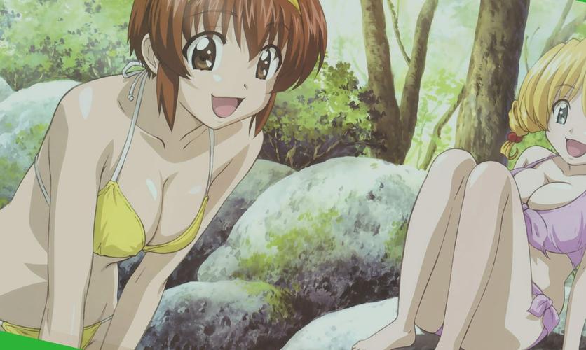 《绮波的羞耻冒险最新》深度分析：游戏机制与玩家心理的融合