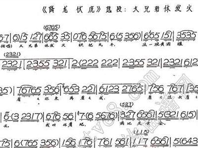 大兄弟版本大全实用教程：全面掌握使用技巧