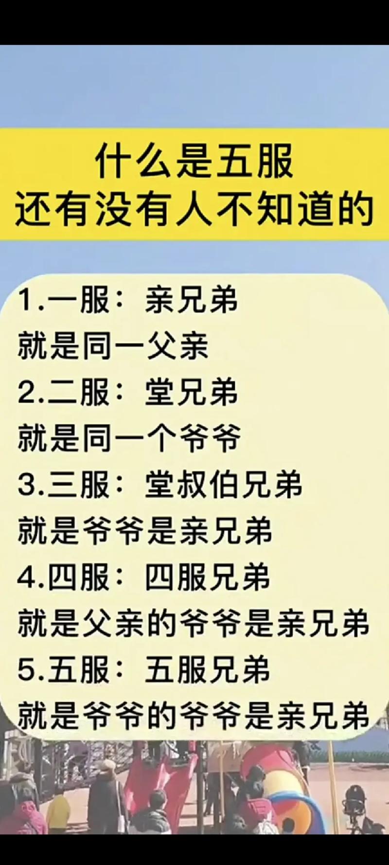 大兄弟版本大全实用教程：全面掌握使用技巧