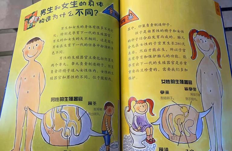 性启蒙版本大全：多元视角下的深度解析