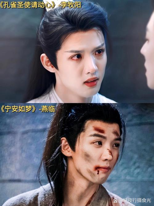 深入探讨《圣天之泪官方网站》的独特魅力与玩家体验