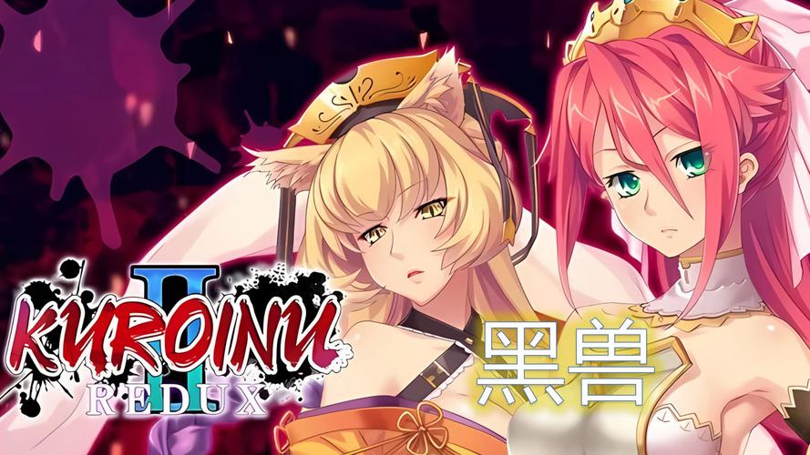 黑兽改最新：实用详细教程与操作指南