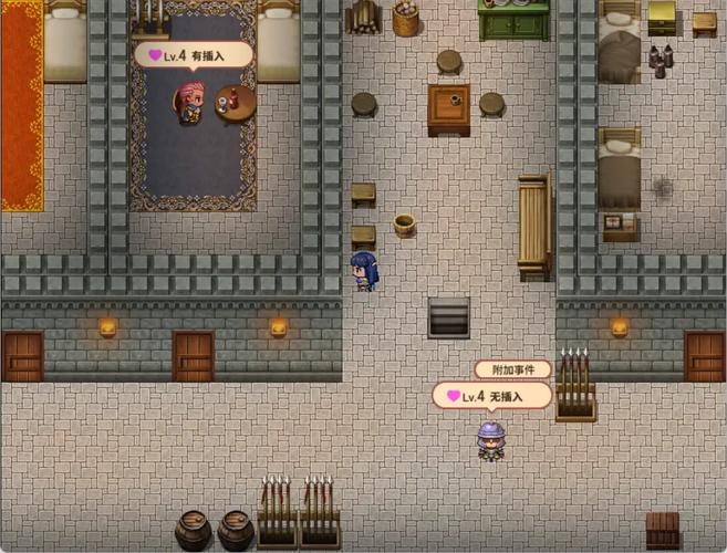 淑女骑士大冒险游戏攻略：深入解析与实用建议