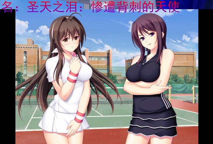 圣天之泪游戏下载详细教程