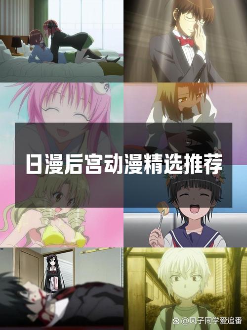 后宫岛版本大全：深度分析与实用指南