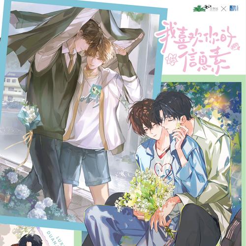 如何下载和安装雨季官方正式版最新版：实用教程