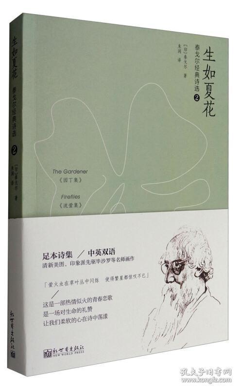 深度解析：一夏之花官方正式版下载最新版的魅力与优势