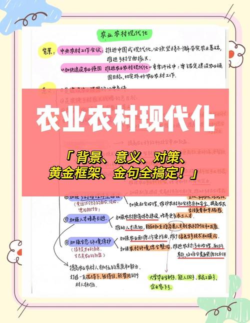 深入分析：保利托农与杨过游戏的结合与创新