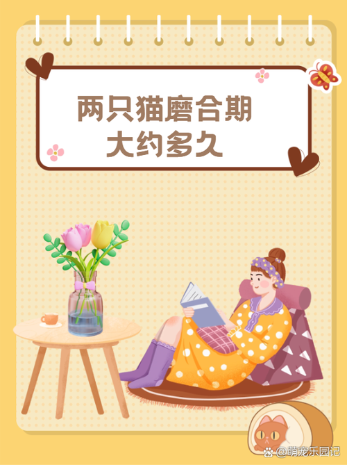 猫研社最新动态及其对绅士游戏市场的影响分析