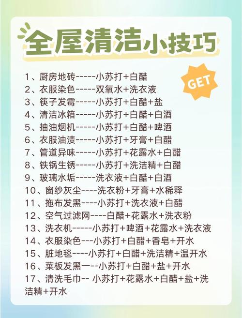 家务最新版本解析：背后的趋势与影响