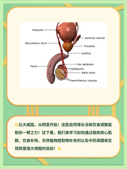大兄弟最新：如何有效搭建你的绅士游戏环境
