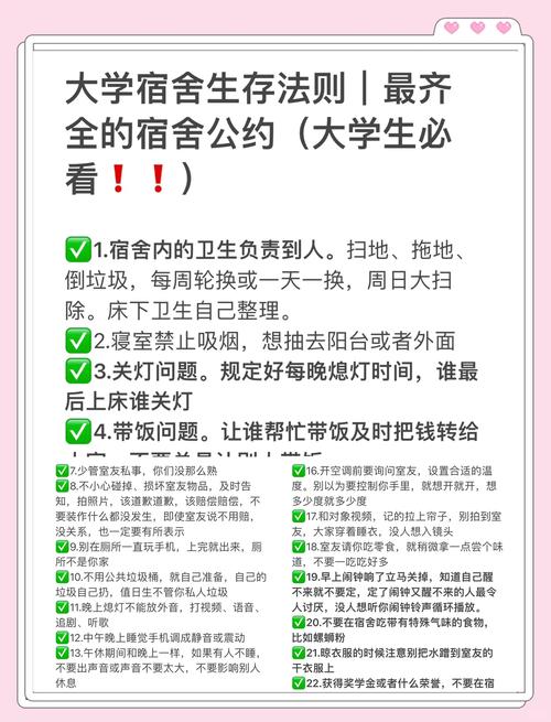室友最新版本使用指南：实用技巧与操作步骤