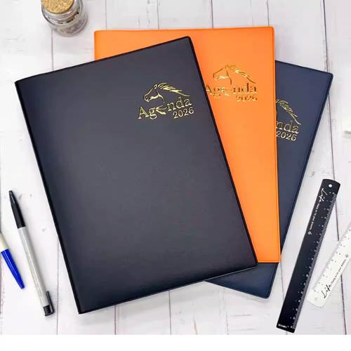 四季更新日志使用指南：实用步骤与技巧