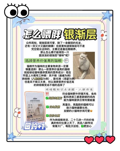 猫研社最新版本分析:动态变化与用户体验的深度探讨