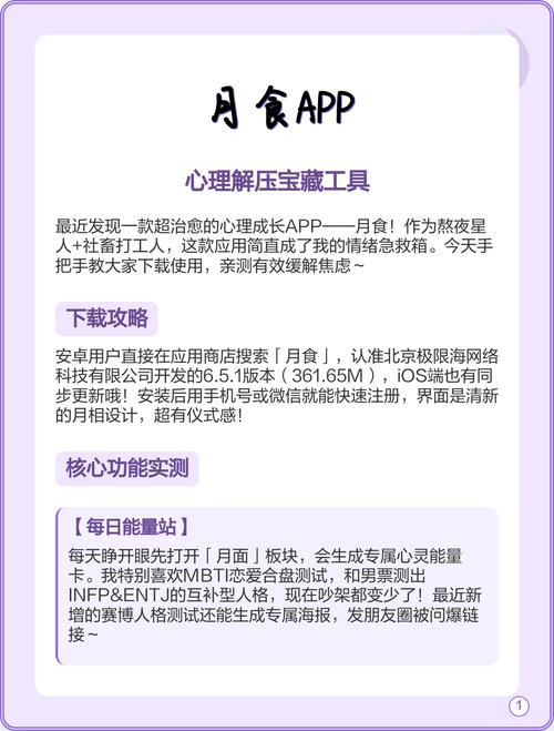 月食安卓汉化：深度解析与市场前景