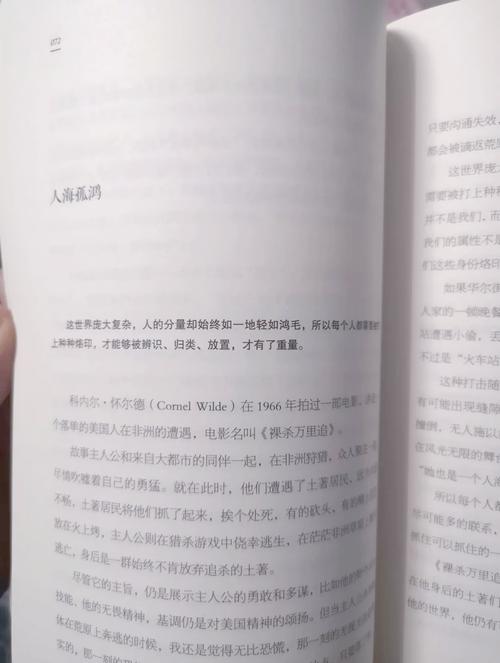 深度解析《重复人生》汉化版最新更新内容